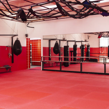 Sport club «Asgard»